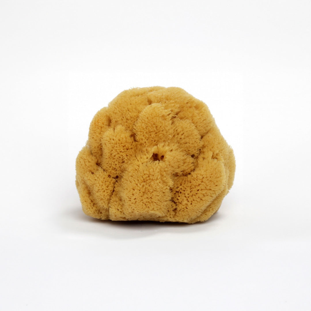 Eponge De Mer Naturelle 12cm